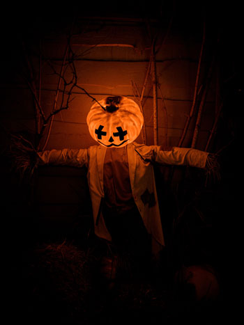 Dead person wearing pumpkin costume